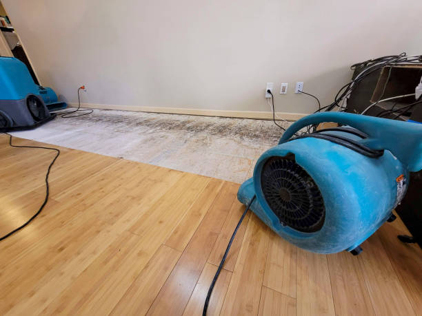 Professional Water Damage Repair technician working in Murfreesboro, NC